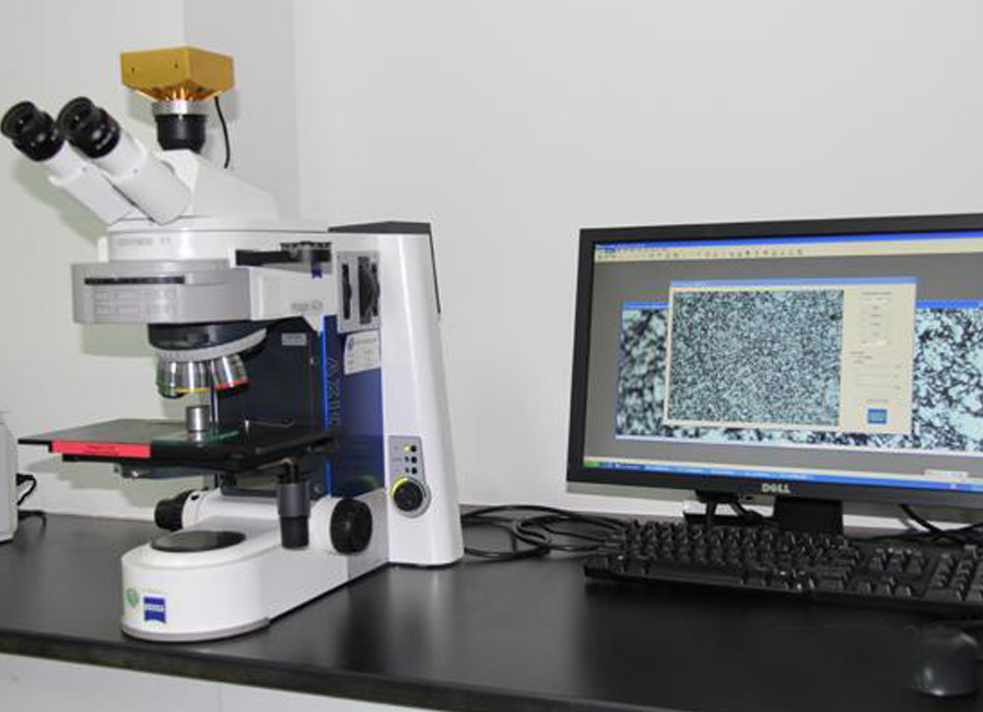 Metallographical Microscope