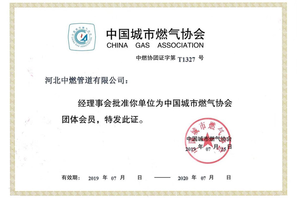 Member of China Urban Gas Association