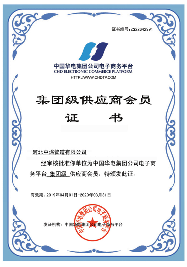 China Huadian Group Supplier
